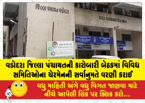 MailVadodara.com - Chairpersons-of-various-committees-were-unanimously-appointed-at-the-executive-meeting-of-the-Vadodara-District-Panchayat