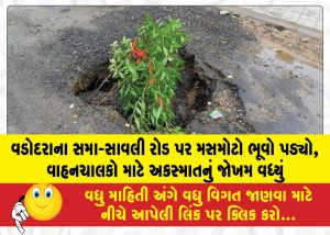 MailVadodara.com - A-massive-sinkhole-has-opened-up-on-Vadodaras-Sama-Savli-Road-increasing-the-risk-of-accidents-for-motorists