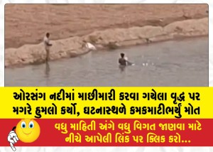 MailVadodara.com - man-fishing-in-the-Orsang-River-attacked-by-a-crocodile-suffers-a-gruesome-death-at-the-scene