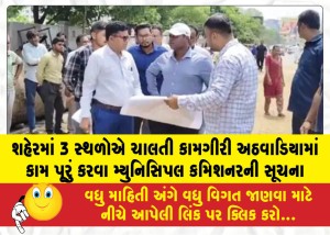 MailVadodara.com - Municipal-Commissioner-instructs-to-complete-ongoing-work-at-three-locations-in-the-city-within-a-week