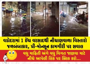 MailVadodara.com - Low-lying-areas-in-Vadodara-waterlogged-after-1-inch-of-rain-questions-raised-over-pre-monsoon-work