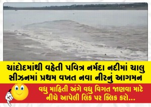 MailVadodara.com - Arrival-of-fresh-waters-in-the-holy-Narmada-River-flowing-through-Chandod-for-the-first-time-this-season
