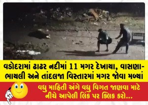 MailVadodara.com - 11-crocodiles-spotted-in-the-Dhadhar-River-in-Vadodara-crocodiles-were-seen-in-the-Vasna-Bhayli-and-Tandalja-areas