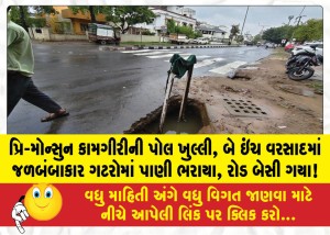 MailVadodara.com - Pre-monsoon-work-exposed-just-two-inches-of-rain-caused-waterlogging-drains-overflowed-and-roads-caved-in
