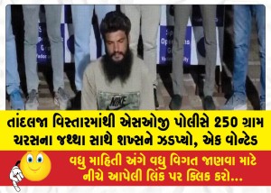 MailVadodara.com - SOG-police-apprehended-an-individual-with-250-grams-of-charas-in-the-Tandalja-area-one-person-is-wanted