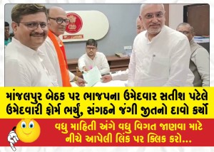 MailVadodara.com - BJP-candidate-Satish-Patel-filed-his-nomination-papers-for-the-Manjalpur-seat