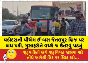 MailVadodara.com - Vadodaras-PM-e-bus-broke-down-on-Jetalpur-Bridge-passengers-had-to-disembark-midway
