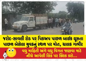 MailVadodara.com - Pillion-rider-dies-on-the-spot-and-driver-critically-injured-after-bike-rams-into-the-rear-of-a-pickup-truck-on-Jarod-Savli-Road