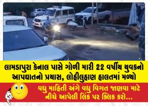 MailVadodara.com - 22-year-old-man-attempts-suicide-by-shooting-himself-near-Lamdapura-Canal-found-in-a-blood-soaked-condition