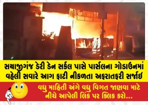 MailVadodara.com - Chaos-ensued-after-a-fire-broke-out-early-in-the-morning-at-a-parcel-warehouse-near-Dairy-Den-Circle-in-Sayajiganj
