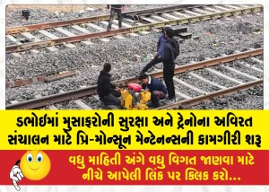 ડભોઇમાં મુસાફરોની સુરક્ષા અને ટ્રેનોના અવિરત સંચાલન માટે પ્રિ-મોન્સૂન મેન્ટેનન્સની કામગીરી શરૂ