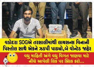 MailVadodara.com - Vadodara-SOG-nabbed-one-person-with-an-unlicensed-pistol-in-Tarsali-two-others-declared-wanted