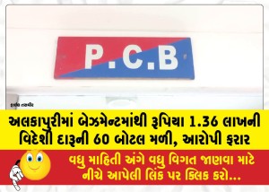 MailVadodara.com - 60-bottles-of-foreign-liquor-worth-1-36-lakh-found-in-an-Alkapuri-basement-accused-absconding