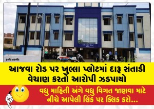 MailVadodara.com - Accused-caught-selling-liquor-hidden-in-an-open-plot-on-Ajwa-Road