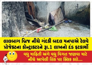MailVadodara.com - The-Municipal-Corporation-imposed-a-fine-of-1-lakh-on-the-railway-project-contractor-for-the-filth-found-under-the-Lalbaug-Bridge
