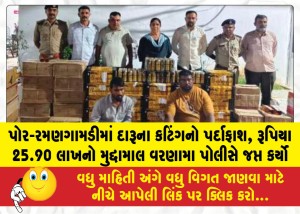 MailVadodara.com - Liquor-offloading-operation-busted-in-Por-Ramangamdi-Varnama-police-seize-contraband-worth-25-90-lakh