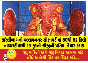 MailVadodara.com - A-12-foot-idol-of-Lord-Shrijii-was-created-using-80-to-82-kilograms-of-nadachhadi-in-the-Vallabhnagar-Society-of-Karelibaug