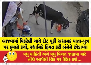 MailVadodara.com - A-cow-suddenly-enraged-charged-and-attacked-a-mother-and-son-a-local-resident-bravely-intervened-and-rescued-them