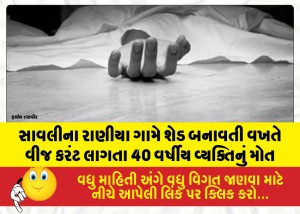 MailVadodara.com - 40-year-old-man-dies-of-electrocution-while-constructing-a-shed-in-Raniya-village-Savli