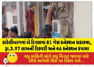 MailVadodara.com - 81-gas-connections-inspected-in-Karelibaug-over-two-days-3-97-lakh-recovered-and-46-connections-disconnected