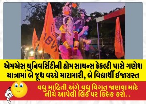 MailVadodara.com - Clash-between-two-groups-during-the-Ganesh-procession-near-the-Faculty-of-Home-Science-at-MS-University-two-students-injured