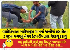 MailVadodara.com - A-3-foot-long-crocodile-trapped-in-a-mesh-was-rescued-by-the-Nature-Help-Team-in-Ganeshpura-village-Waghodia