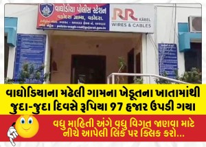 MailVadodara.com - A-total-of-97000-was-withdrawn-from-the-bank-account-of-a-farmer-from-Madheli-village-in-Waghodia-on-various-days