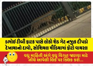MailVadodara.com - Claims-of-a-leopard-sighting-near-the-Shed-Gate-by-the-Dabhoi-TB-railway-crossing-photo-goes-viral-on-social-media