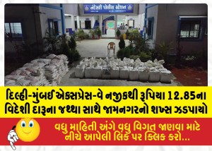 MailVadodara.com - A-man-from-Jamnagar-was-caught-near-the-Delhi-Mumbai-Expressway-with-a-consignment-of-foreign-liquor-worth-12-85-lakh