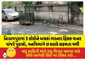 MailVadodara.com - Aggressive-monkey-that-bit-three-people-in-Nizampura-caged-Forest-Department-succeeds-after-six-hours