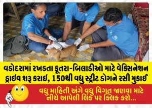 MailVadodara.com - Vaccination-drive-for-stray-dogs-and-cats-launched-in-Vadodara-over-150-street-dogs-vaccinated