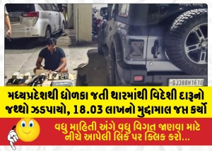 MailVadodara.com - A-consignment-of-foreign-liquor-was-seized-from-a-Thar-vehicle-traveling-from-Madhya-Pradesh-to-Dholka