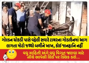 MailVadodara.com - A-large-quantity-of-tires-was-gutted-in-a-fire-at-a-tire-godown-near-Golden-Chowk-early-this-morning-no-casualties-reported
