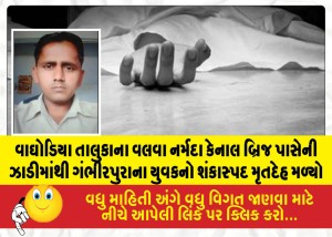 MailVadodara.com - The-suspicious-body-of-a-young-man-from-Gambhirpura-was-found-in-the-bushes-near-the-Valva-Narmada-Canal-bridge-in-Waghodia-Taluka
