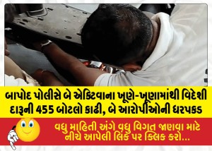 MailVadodara.com - Bapod-police-recovered-455-bottles-of-foreign-liquor-from-hidden-compartments-in-two-Activa-scooters-and-arrested-two-accused