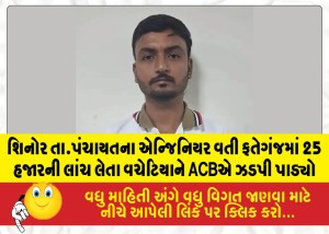MailVadodara.com - The-ACB-apprehended-a-middleman-in-Fatehganj-while-he-was-accepting-a-bribe-of-25-000-on-behalf-of-an-engineer-from-the-Shinor-Taluka-Panchayat
