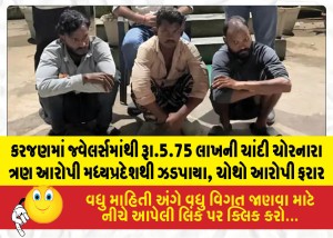 MailVadodara.com - Three-accused-who-stole-silver-worth-5-75-lakh-from-a-jewelry-shop-in-Karjan-have-been-nabbed-in-Madhya-Pradesh