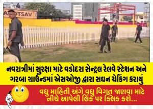 MailVadodara.com - The-SOG-conducted-intensive-security-checks-at-the-Vadodara-Central-Railway-Station-and-Garba-grounds-during-Navratri