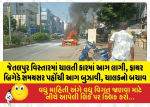 MailVadodara.com - Upon-seeing-smoke-coming-from-the-bonnet-the-driver-showed-presence-of-mind-stopped-the-car-and-got-out