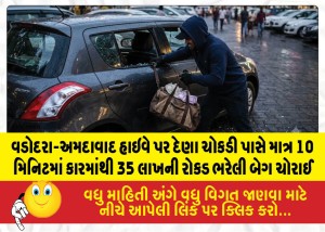 MailVadodara.com - A-bag-containing-35-lakh-in-cash-was-stolen-from-a-car-near-Dena-Chokdi-on-the-Vadodara-Ahmedabad-highway-in-just-10-minutes