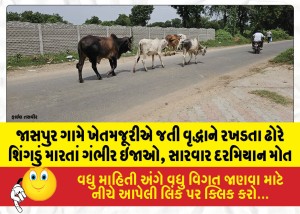 MailVadodara.com - Elderly-woman-working-as-a-farm-laborer-in-Jaspur-village-sustains-serious-injuries-after-being-gored-by-a-stray-animal-dies-during-treatment