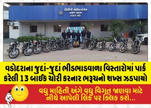 MailVadodara.com - Man-from-Bharuch-arrested-for-stealing-13-motorcycles-parked-in-various-crowded-areas-of-Vadodara