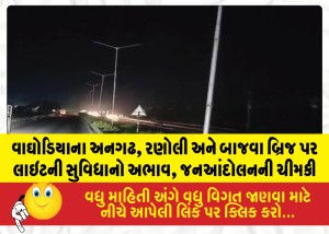 MailVadodara.com - Lack-of-street-lighting-on-the-Angadh-Ranoli-and-Bajwa-bridges-in-Waghodia-threat-of-a-public-agitation