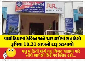 MailVadodara.com - Liquor-worth-Rs-10-31-lakh-hidden-in-a-cabin-and-four-houses-in-Waghodia-seized