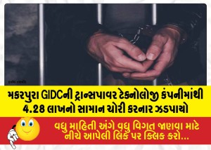 MailVadodara.com - Person-who-stole-goods-worth-Rs-4-28-lakh-from-Transpower-Technology-company-in-Makarpura-GIDC-caught