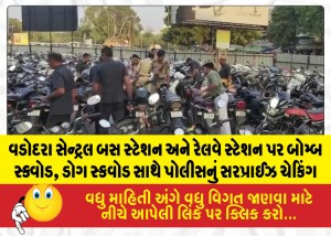 વડોદરા સેન્ટ્રલ બસ સ્ટેશન અને રેલવે સ્ટેશન પર બોમ્બ સ્ક્વોડ, ડોગ સ્કવોડ સાથે પોલીસનું સરપ્રાઈઝ ચેકિંગ
