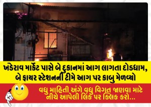 MailVadodara.com - Panic-ensues-as-fire-breaks-out-in-two-shops-near-Khanderao-Market-teams-from-two-fire-stations-bring-the-blaze-under-control