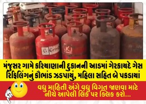 MailVadodara.com - Illegal-gas-refilling-racket-busted-at-a-grocery-shop-in-Manjusar-village-two-people-including-a-woman-arrested
