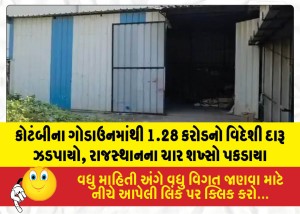 MailVadodara.com - Foreign-liquor-worth-Rs-1-28-crore-seized-from-a-godown-in-Kotambi-four-individuals-from-Rajasthan-arrested