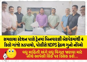 MailVadodara.com - 4-kg-of-ganja-was-seized-from-an-unclaimed-backpack-on-a-train-near-Samlaya-station